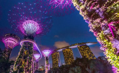 SINGAPORE, SINGAPORE - 11 Mart 2018: Singapur 'daki Supertree Grove ve Marina Bay Sands binasının akşam manzarası