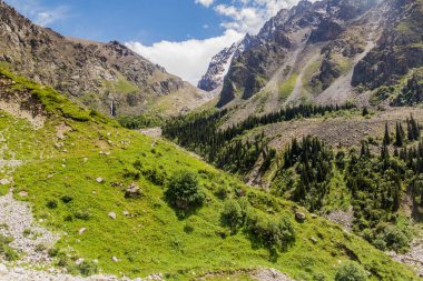 Kırgızistan 'daki Ala Archa Vadisi