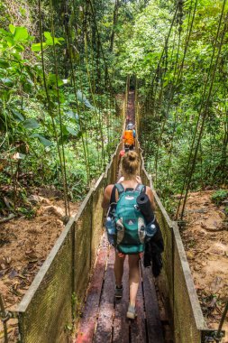 TAMAN NeGARA, MALAYSIA - 16 Mart 2018: Taman Negara Milli Parkı 'ndaki köprüden geçen turistler.