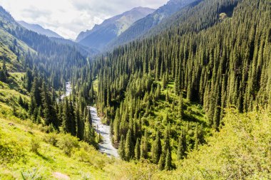 Kırgızistan 'daki Arashan nehir vadisi