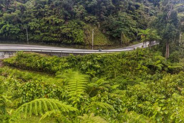 Cameron Highlands, Malezya Yolu