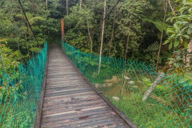 Cameron Highlands, Malezya 'da Taman Rata kasabası yakınlarında asılı duran bir köprü.
