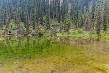 Kırgızistan 'daki Karakol Nehri vadisinde küçük bir göl.