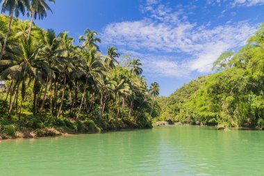 Filipinler, Bohol Adası 'ndaki Loboc Nehri manzarası