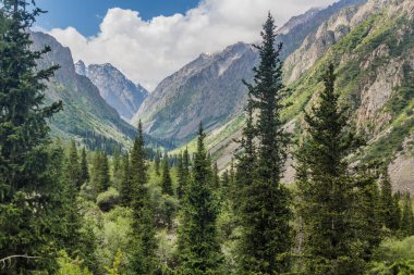Kırgızistan 'daki Ala Archa Vadisi