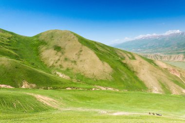Kırgızistan, Song Kul Gölü yakınlarındaki tepeler çimlerle kaplıydı.