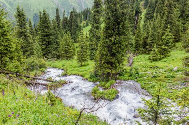 Rapids in a valley near Ala Kul pass in Kyrgyzstan clipart