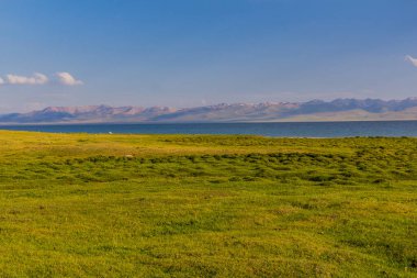 Kırgızistan, Song Kul Gölü yakınlarındaki çayır.