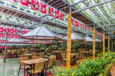 CAMERON HIGHLANDS, MALAYSIA - 27 Mart 2018: Çilek tarlası ile Agro Highlands Cafe manzarası.