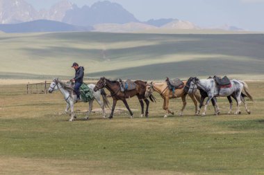 SONG KUL, KYRGYZSTAN - 24 Temmuz 2018: Kırgızistan 'da Song Kul Gölü yakınlarında birkaç ata biniyor