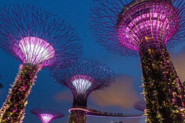 SINGAPORE, ŞARKI - 11 Mart 2018 Singapur 'daki Supertree Grove' un Akşam Görüşü