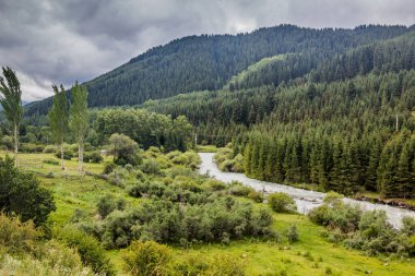 Kırgızistan 'daki Karakol Nehri Vadisi