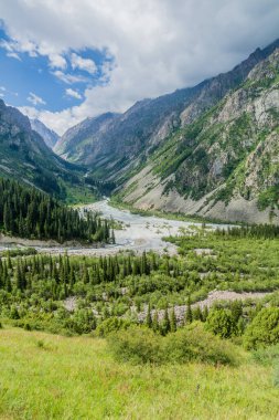 Kırgızistan 'daki Ala Archa Vadisi