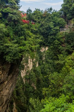 Çin 'in Hunan eyaletindeki Zhangjiajie Ulusal Orman Parkı' ndaki Wulingyuan Sahnesi ve Tarihi İlgi Alanı 'ndaki doğal kaya köprüsü