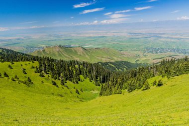 Kırgızistan 'daki Issyk Kul Gölü yakınlarındaki ovalara bak