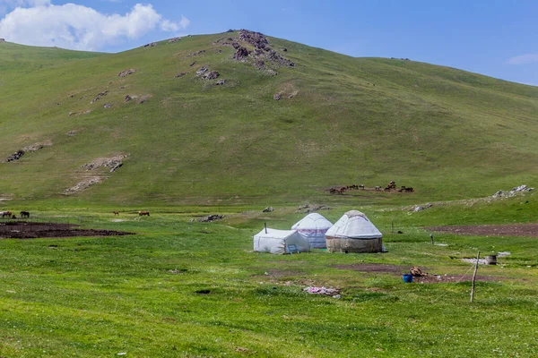 Camp Yourtes Près Lac Song Kul Kirghizistan — Photo