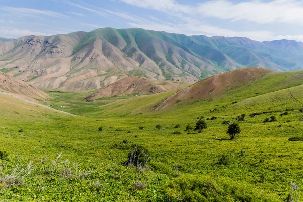 Зеленая Долина Возле Озера Сон Куль Кыргызстан — стоковое фото