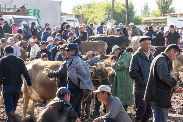 KARAKOL, KYRGYZSTAN - 15 Temmuz 2018: Karakol 'daki Pazar hayvan pazarında inekli yerel halk.