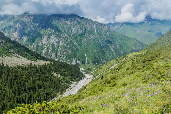Долина Ала-Арча в Кыргызстане
