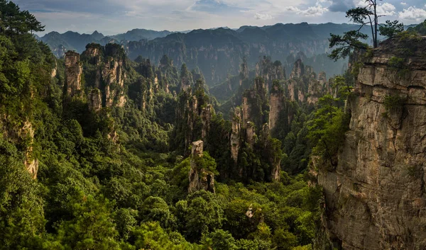 Pískovcové Pilíře Wulingyuan Scénická Historická Zájmová Oblast Zhangjiajie Národní Lesopark — Stock fotografie