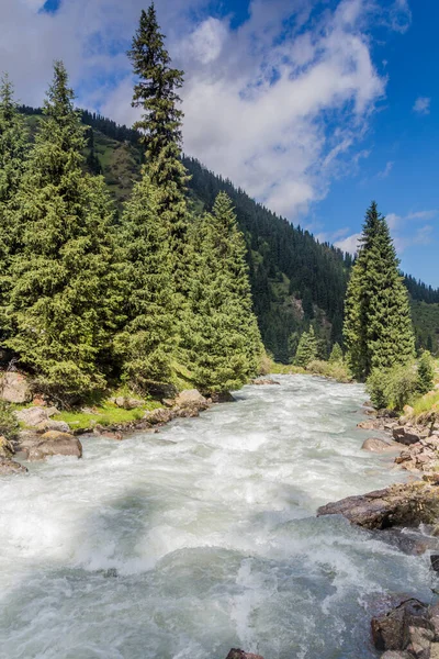 Peřeje Řeky Arashan Kyrgyzstánu — Stock fotografie