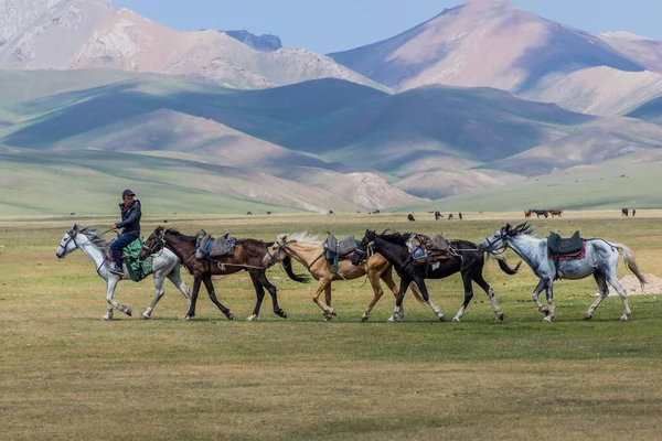 Song Kul Kyrgyzstan Julho 2018 Cavaleiro Local Quirguistão Está Liderando — Fotografia de Stock