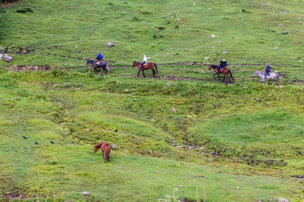 Altyn Arashan Kyrgyzstan Julio 2018 Caballos Paseo Turísticos Cerca Del — Foto de Stock