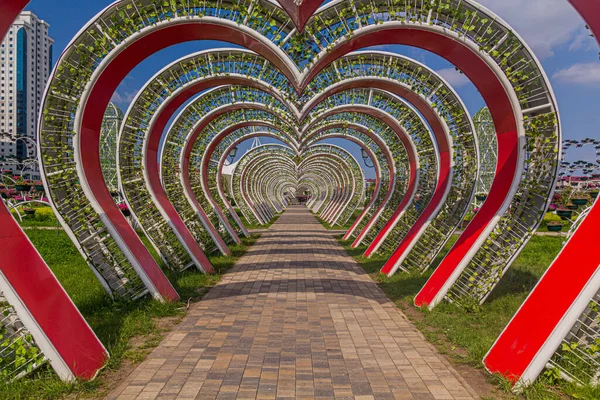 Dekorationer Tsvetochnyy Blomma Park Grozny Ryssland — Stockfoto