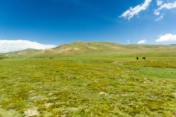 키르기스스탄 근처의 — 스톡 사진