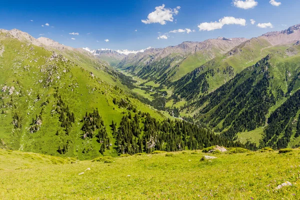 Valle Cerca Karakol Kirguistán — Foto de Stock