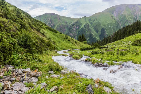 Stromschnellen Einem Tal Der Nähe Des Ala Kul Passes Kirgisistan — Stockfoto