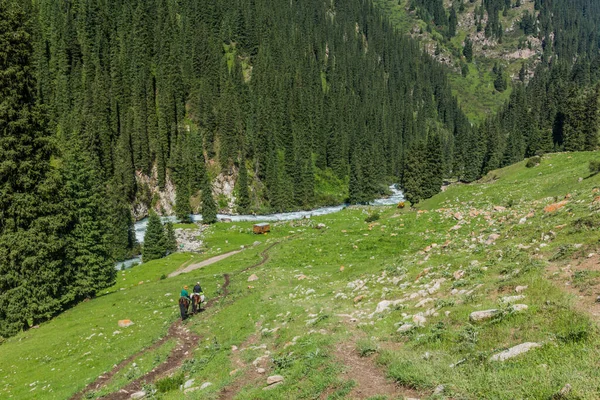 Vallée Rivière Arashan Kirghizistan — Photo