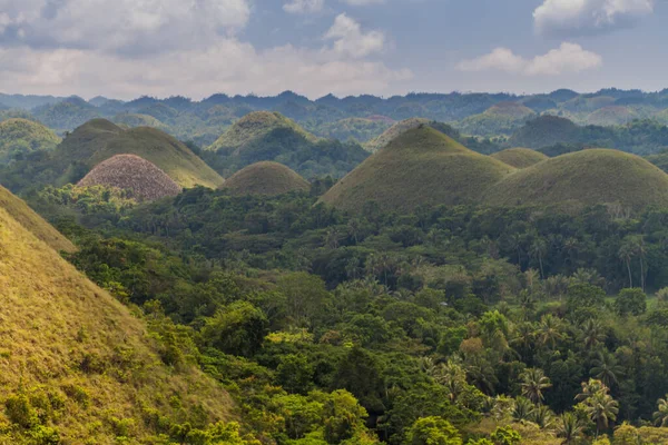 Formacja Geologiczna Wzgórza Czekolady Wyspie Bohol Filipiny — Zdjęcie stockowe
