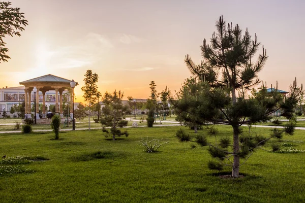 日落在乌兹别克斯坦Shahrisabz的一个公园 — 图库照片