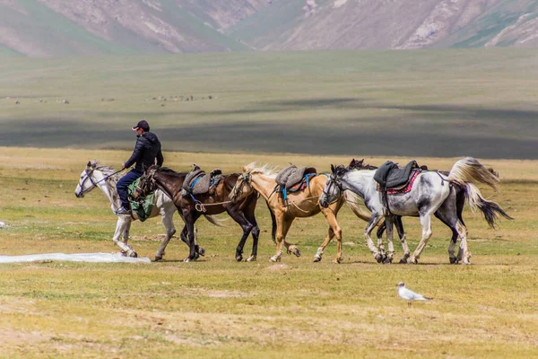 Song Kul Kyrgyzstan Temmuz 2018 Kırgızistan Song Kul Gölü Yakınlarında — Stok fotoğraf