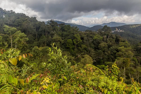 Cameron Highlands, Malezya 'nın manzarası