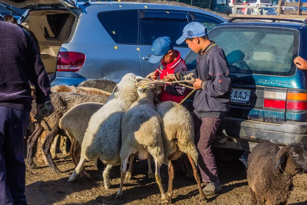 Karakol Kyrgyzstan Juillet 2018 Population Locale Avec Des Moutons Marché — Photo