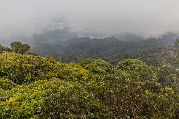 Vista Floresta Mossy Cameron Highlands Malásia — Fotografia de Stock