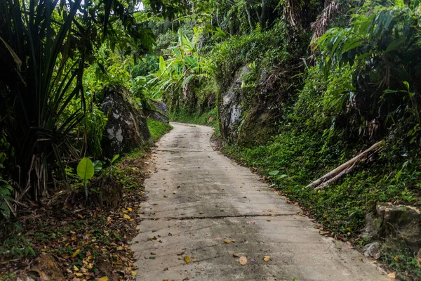 マレーシアのペナンの丘への道 — ストック写真