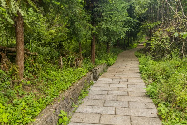 Çin Hunan Eyaletindeki Zhangjiajie Ulusal Orman Parkı Ndaki Wulingyuan Manzarası — Stok fotoğraf