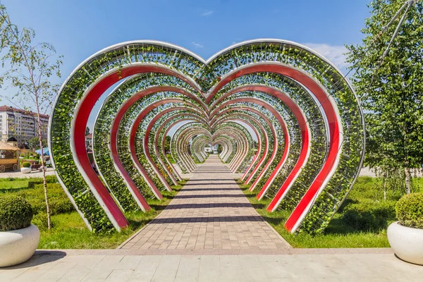 Dekorace Tsvetochnyy Flower Parku Grozném Rusko — Stock fotografie