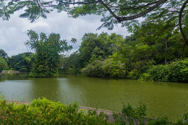 Rybník Singapurské Botanické Zahradě — Stock fotografie