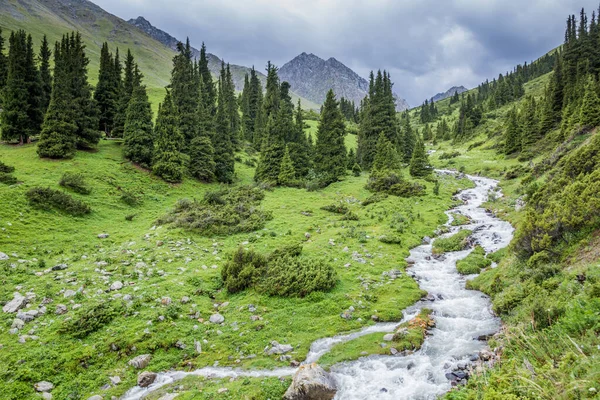 吉尔吉斯斯坦阿拉库尔山口附近山谷中的急流 — 图库照片