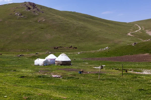 키르기스스탄의 근처에 유르트 수용소 — 스톡 사진