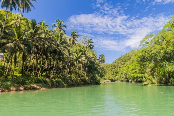 Blick Auf Den Fluss Loboc Auf Der Insel Bohol Philippinen — Stockfoto