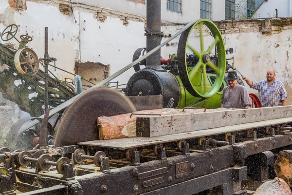 Zamberk Czechia 2018年9月15日 チェコのザンベルクにある旧機械技術博物館 Muzeum Starych Stroju Technii の鋸工場に動力を供給するポータブル蒸気機関 — ストック写真