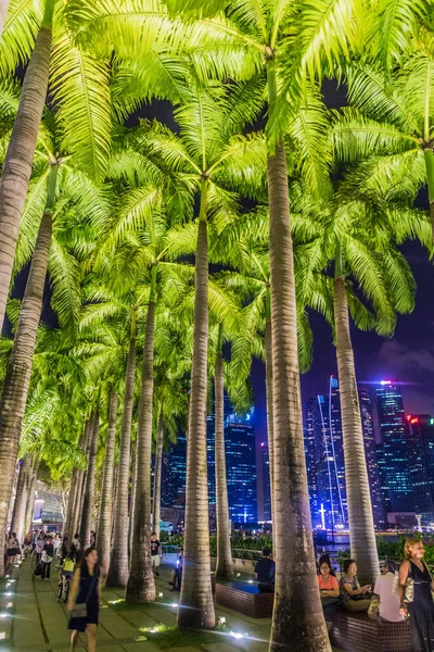 Singapur Singapur März 2018 Nachtansicht Der Palmen Neben Dem Marina — Stockfoto