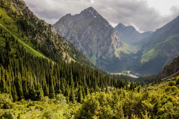 Kırgızistan 'daki Terskey Ala-Too dağ sırasındaki Karakol vadisi