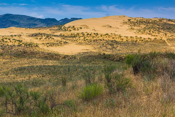 Sarykum Largest Sand Dune Eurasia Dagestan Nature Reserve Makhachkala City — Stock Photo, Image