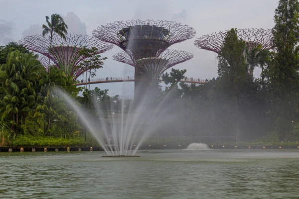 シンガポール湾の庭にあるスーパーツリーの森 — ストック写真